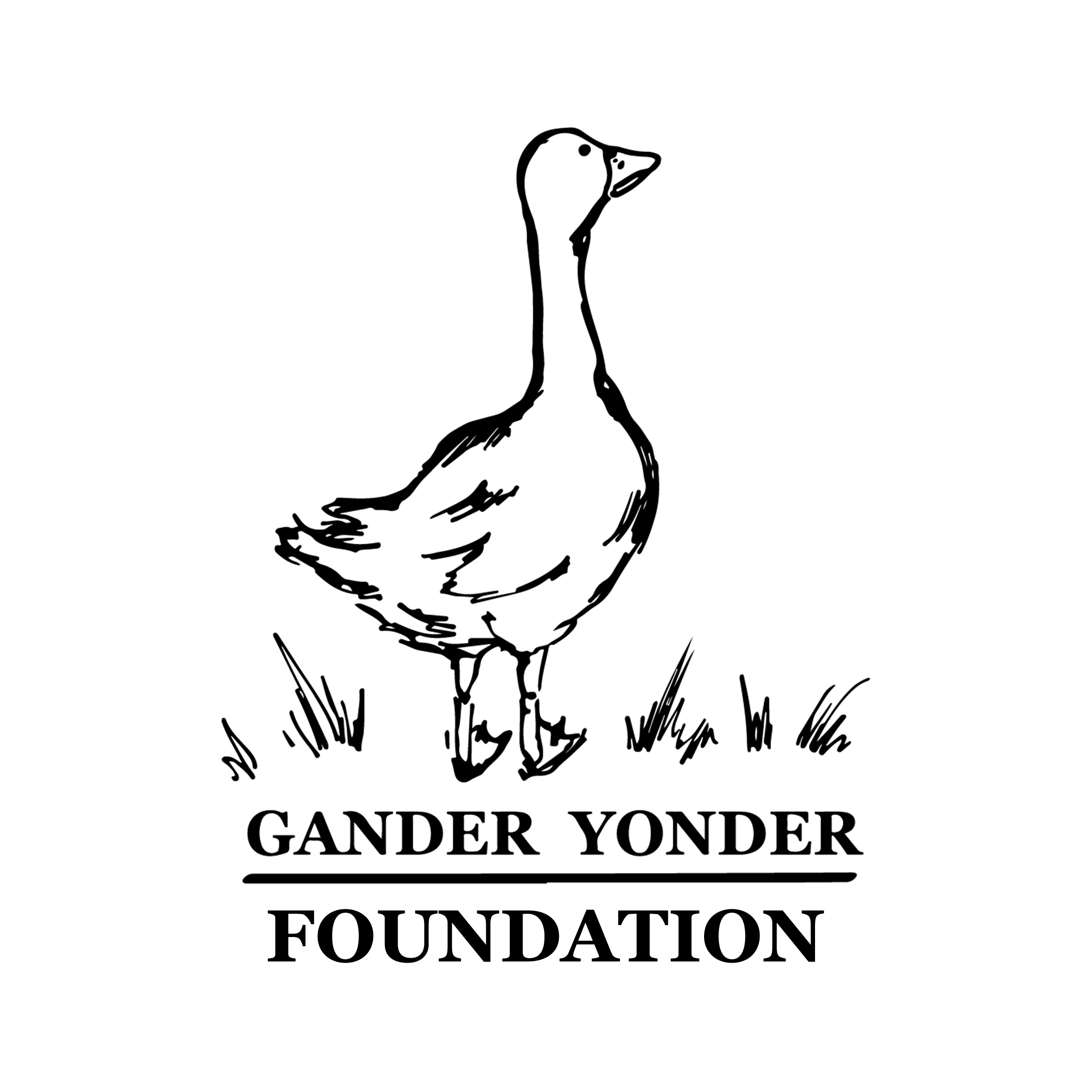 Stichting Gander Yonder Foundation